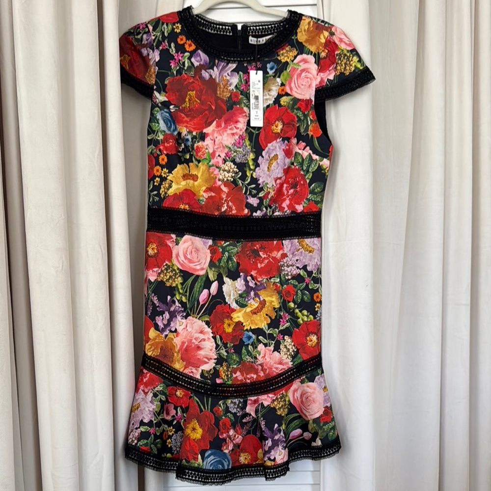 Alice and Olivia size 6 blooming garden spring dress NWT lace see through trim
